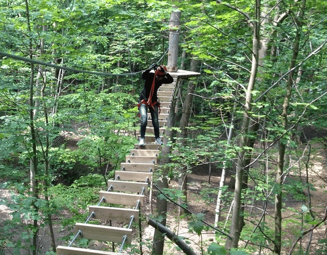 Slip din indre abe løs i Til Tops Klatrepark